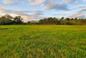 From Medellin; (All-In) The Real Horseback Ranch Experience