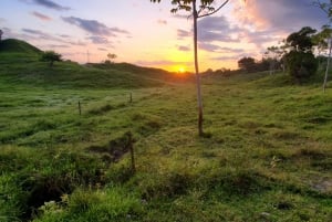 From Medellin; (All-In) The Real Horseback Ranch Experience