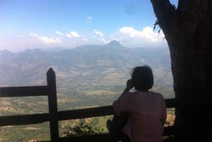 From Medellin: Express Coffee Tour