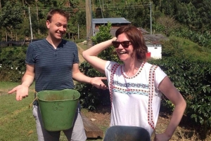 From Medellin: Express Coffee Tour