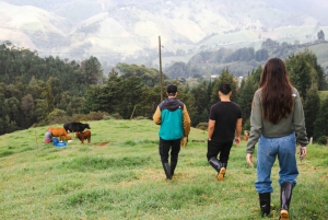 From Medellin: Farm, Food, & Countryside Day Tour