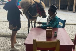 Fra Medellín: 2-dages eventyr i Guatapé og San Rafael