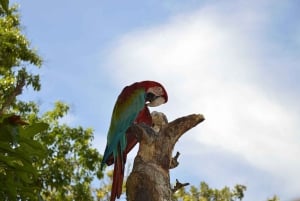 Fra Medellín: 2-dages eventyr i Guatapé og San Rafael
