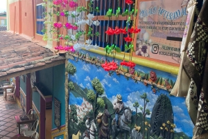 Vanuit Medellín: 2-daags avontuur in Guatapé en San Rafael