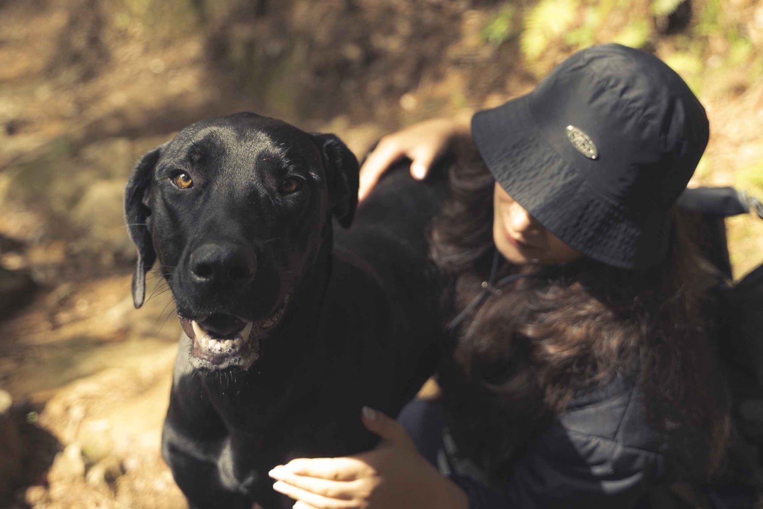 メデジン発：滝への古代トレイルガイド付きハイキング