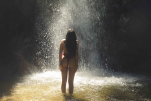 メデジン発：滝への古代トレイルガイド付きハイキング