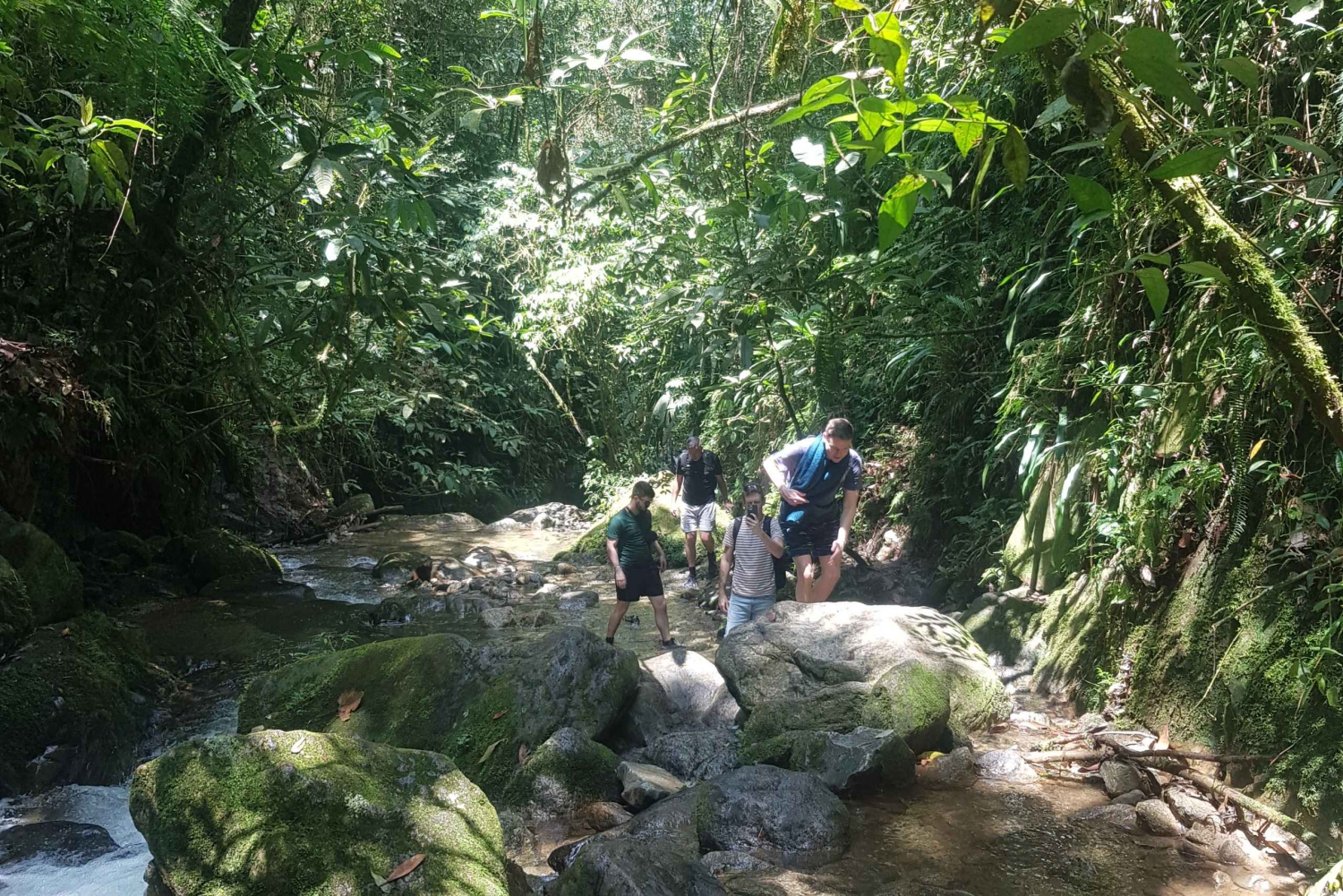 From Medellin: Guided Hiking Tour in Nature