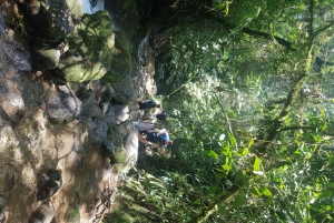 Desde Medellín: Senderismo Guiado en la Naturaleza