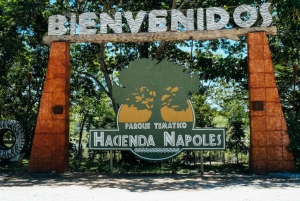 From Medellín: Hacienda Nápoles Theme Park Day Trip