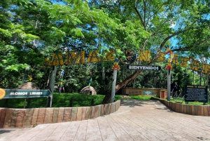 From Medellín: Hacienda Nápoles Theme Park Day Trip