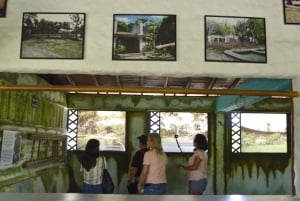 Desde Medellín: Excursión de un día al Parque Temático Hacienda Nápoles