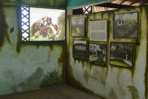 Desde Medellín: Excursión de un día al Parque Temático Hacienda Nápoles