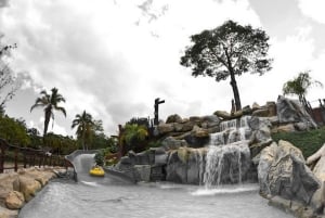 Fra Medellín: Dagstur til temaparken Hacienda Nápoles