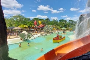 Fra Medellín: Dagstur til temaparken Hacienda Nápoles