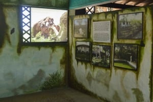 Fra Medellín: Dagstur til temaparken Hacienda Nápoles