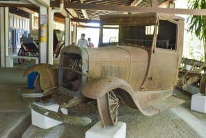 Fra Medellín: Dagstur til temaparken Hacienda Nápoles