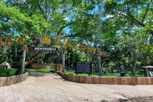 Fra Medellín: Dagstur til temaparken Hacienda Nápoles