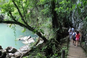 Fra Medellín: Dagstur til temaparken Hacienda Nápoles