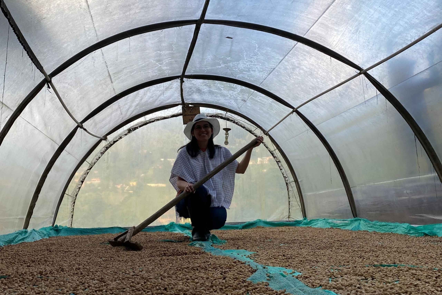 Z Medellín: wycieczka półdniowa prywatna poświęcona kawie