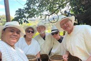 From Medellín: Half Day Private Coffee Tour