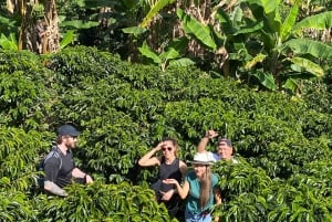 From Medellín: Half Day Private Coffee Tour