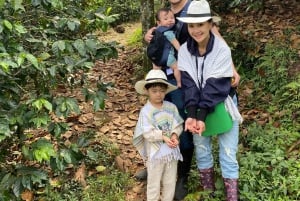 From Medellín: Half Day Private Coffee Tour