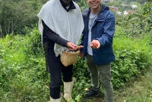 Z Medellín: wycieczka półdniowa prywatna poświęcona kawie