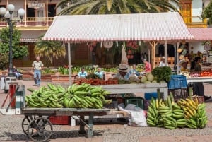 Da Medellín: Tour di un giorno intero di Jericó