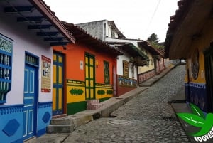 Desde Medellín: Vuelo en Parapente y Excursión a Guatape