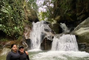 Medellín: Ananasowa farma z degustacją