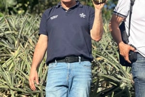 Medellín: Ananasowa farma z degustacją