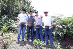 From Medellin: Private Envigado Coffee Tour with Tastings