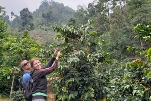 From Medellin: Private Envigado Coffee Tour with Tastings