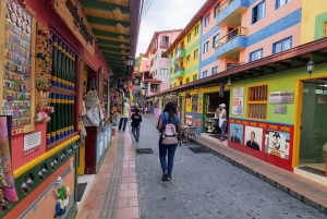 Fra Medellin: Privat Guatape-tur med kaffe