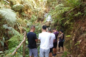From Medellín: Private Pablo Escobar History Tour