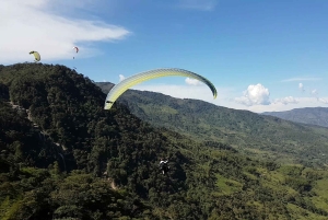 From Medellin: Private Paragliding Tour Over Waterfalls