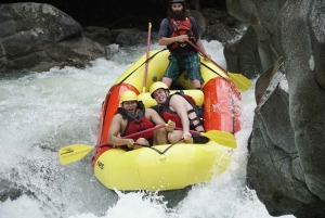 Desde Medellín: Experiencia de rafting