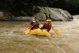 Desde Medellín: Experiencia de rafting