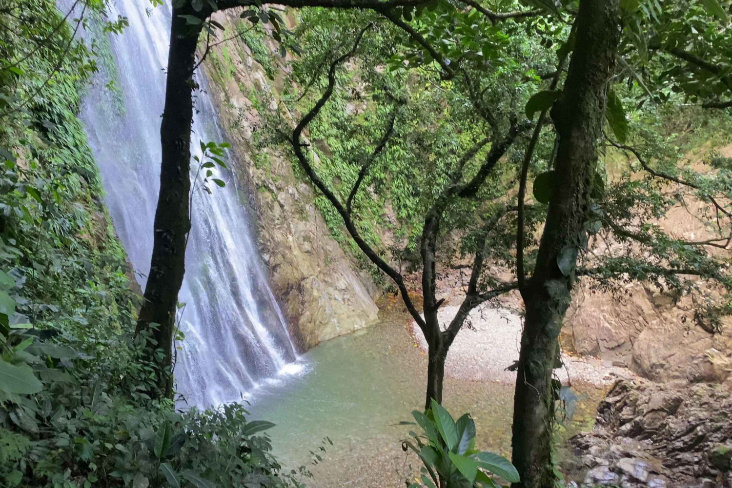 desde Medellín: Excursión de un día para nadar en una cascada y caminar por la selva