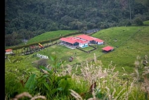 Из Саленто: пеший тур по долине Кокора с обедом