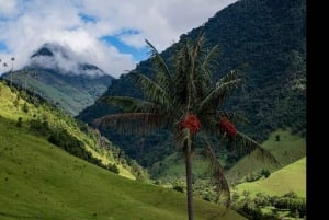 Из Саленто: пеший тур по долине Кокора с обедом