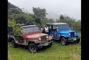 Vanuit Salento: Cocora Valley Wandeltocht met Lunch