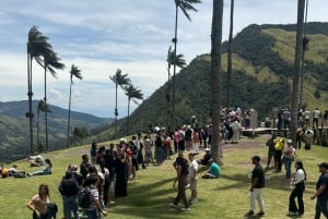 プライベートツアー：ココラ渓谷、フィランディア、サレント