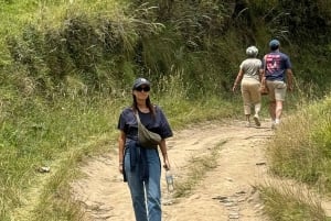 From Salento: Cocora Valley, Coffee Farm Tour, and Salento