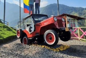 From Salento: Cocora Valley, Coffee Farm Tour, and Salento