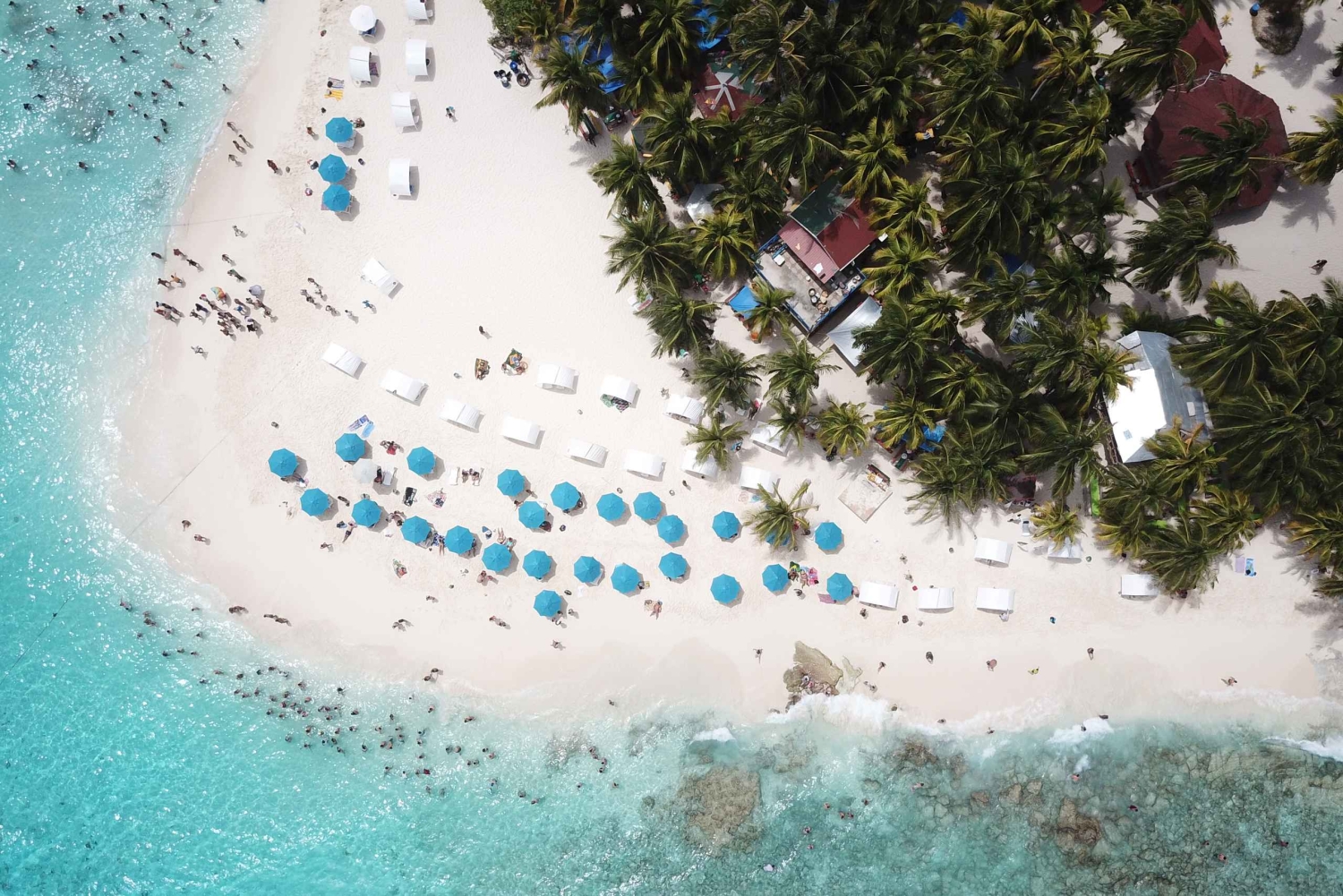 Från San Andrés: Johnny Cay Island: Från San Andrés till San Francisco