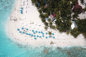 Från San Andrés: Johnny Cay Island: Från San Andrés till San Francisco