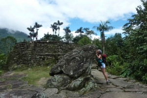 From Santa Marta: 4-Day Lost City Discovery Tour