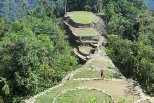 From Santa Marta: 4-Day Lost City Discovery Tour