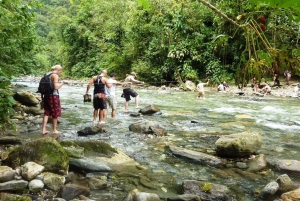Desde Santa Marta: Tour de 4 días para descubrir la Ciudad Perdida